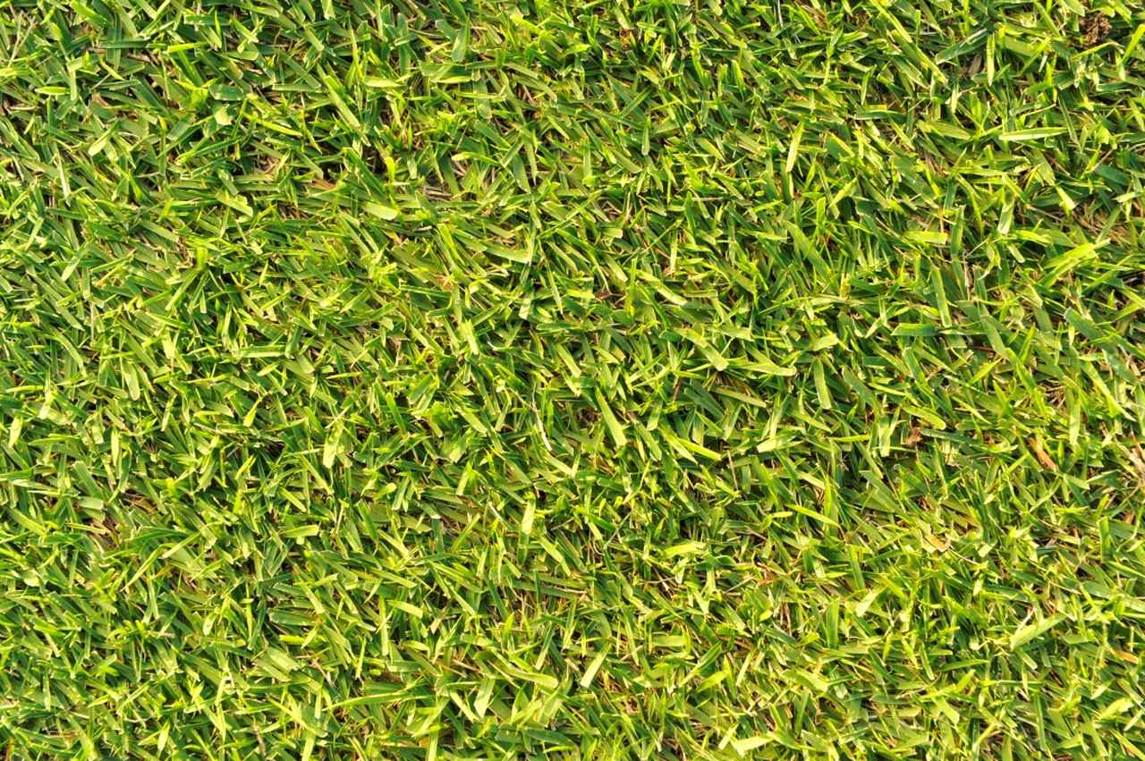 画像: ゴルフコースの芝がサッカーワールドカップの会場に積極的に使われるという(写真イメージ)