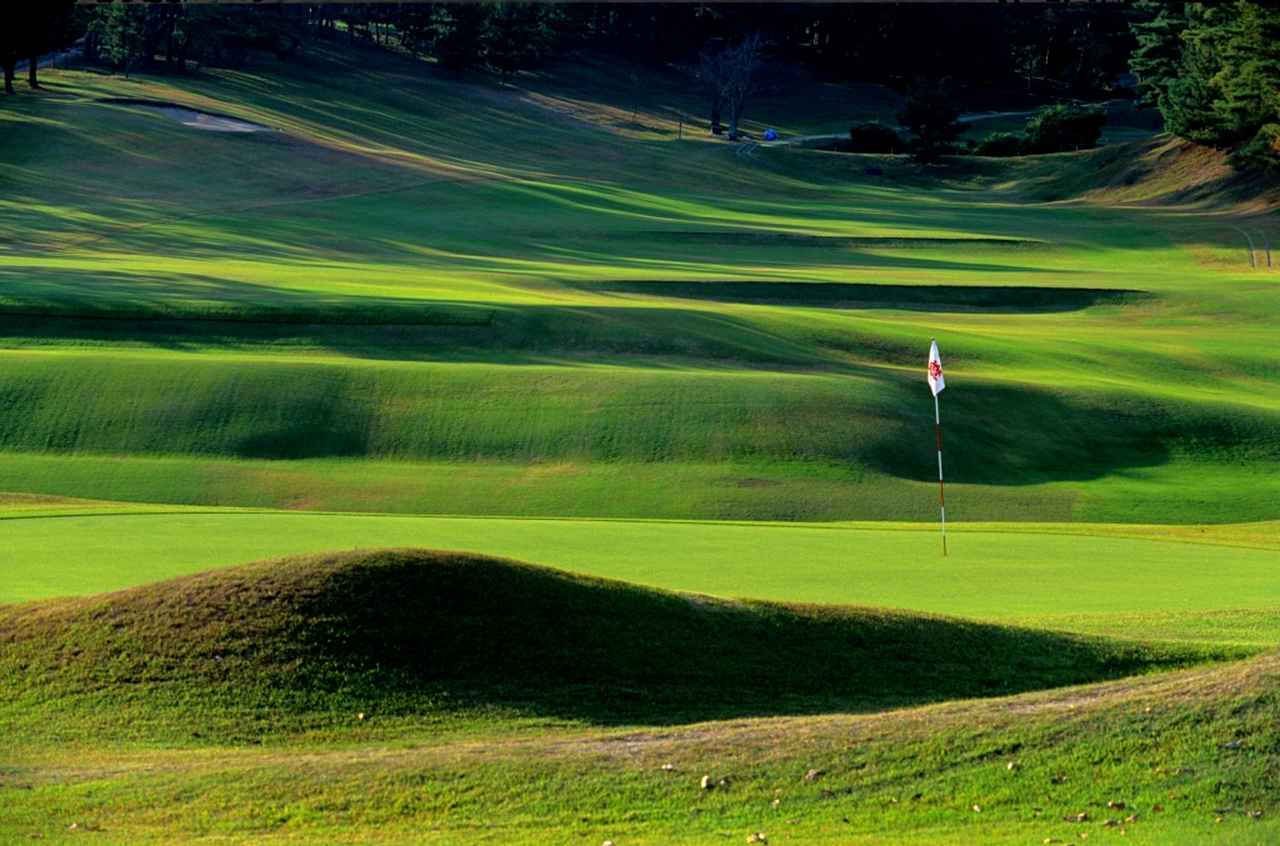 画像: ナルオターフは、鳴尾ゴルフ倶楽部で発見された次世代の「省管理型」の日本芝