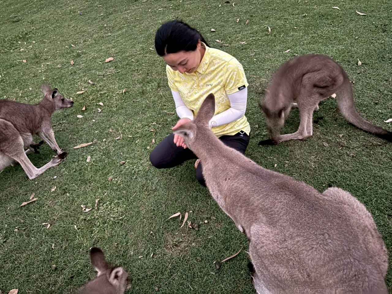 画像: 住宅街横の公園で。「野生のカンガルーを餌付けしているみたいです。すごくかわいいでしょう」