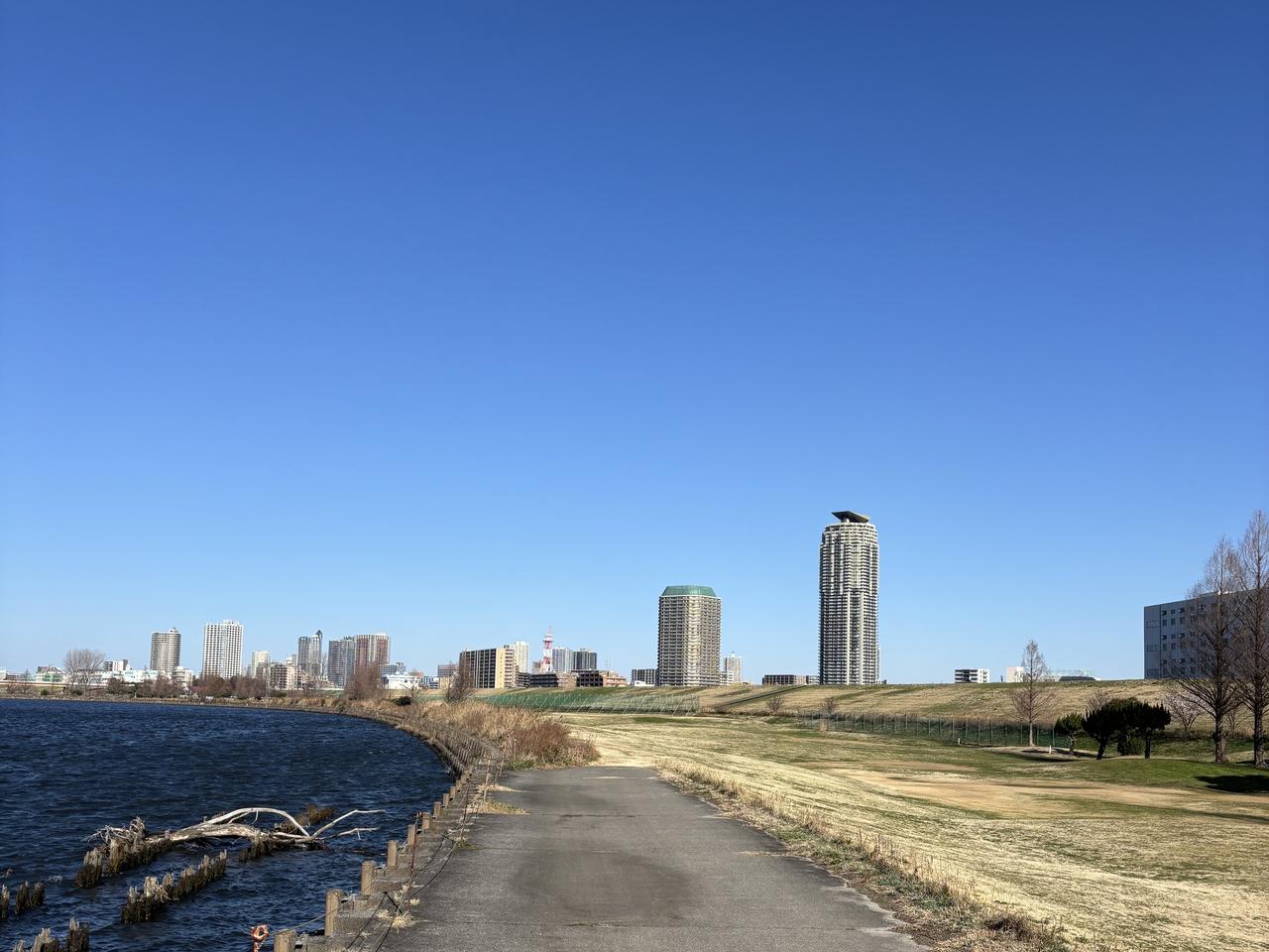 画像: 川口パブリックゴルフ場。都会の喧騒を忘れて荒川沿いで一人手引きカートは修行そのもの