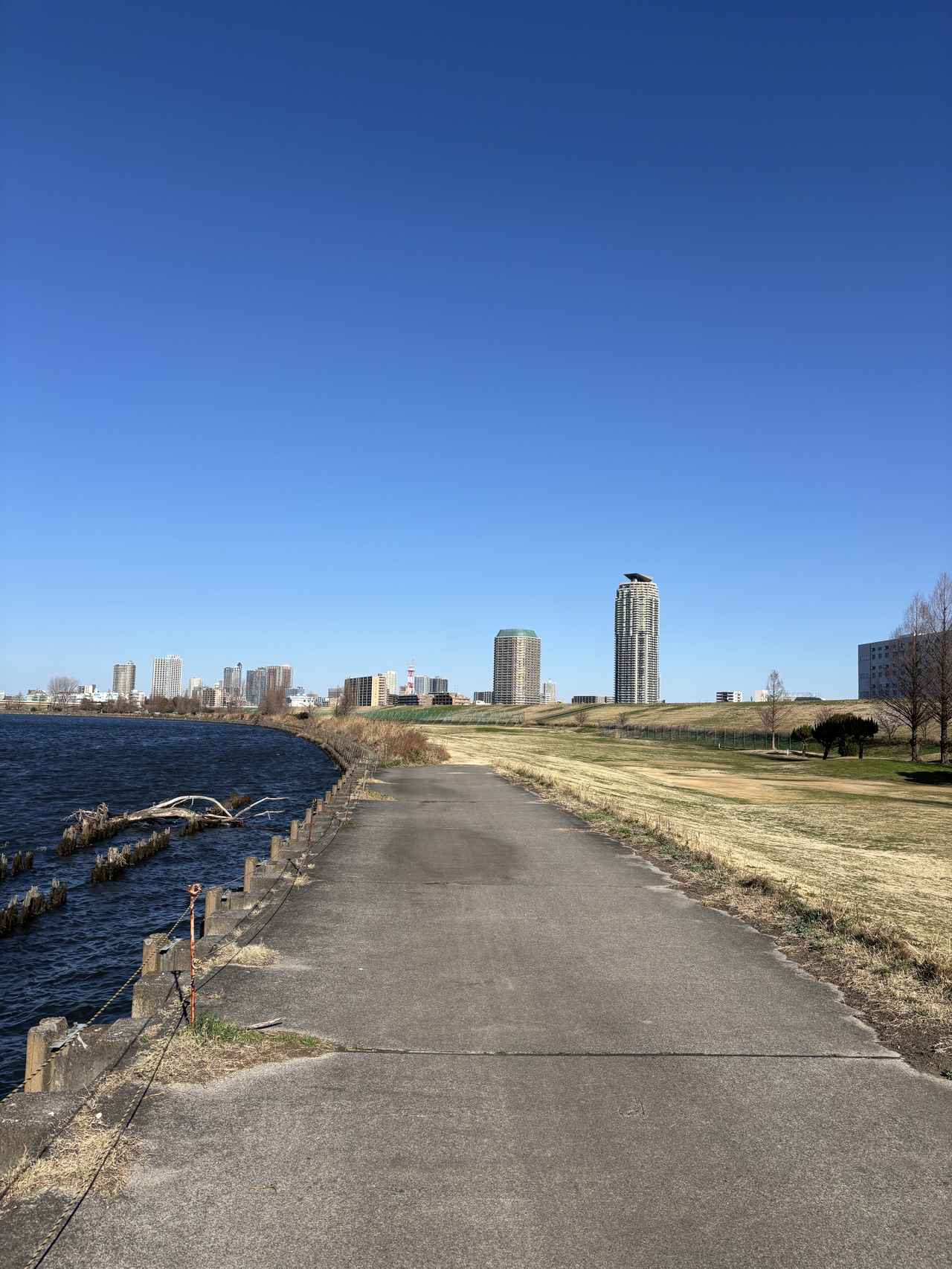 画像 : 川口パブリックGの思い出