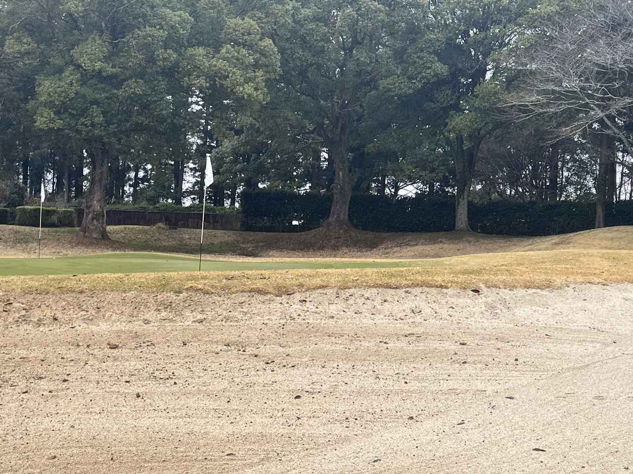 画像 : 3番目の画像 - グレンオークスCCの充実した練習場 - みんなのゴルフダイジェスト