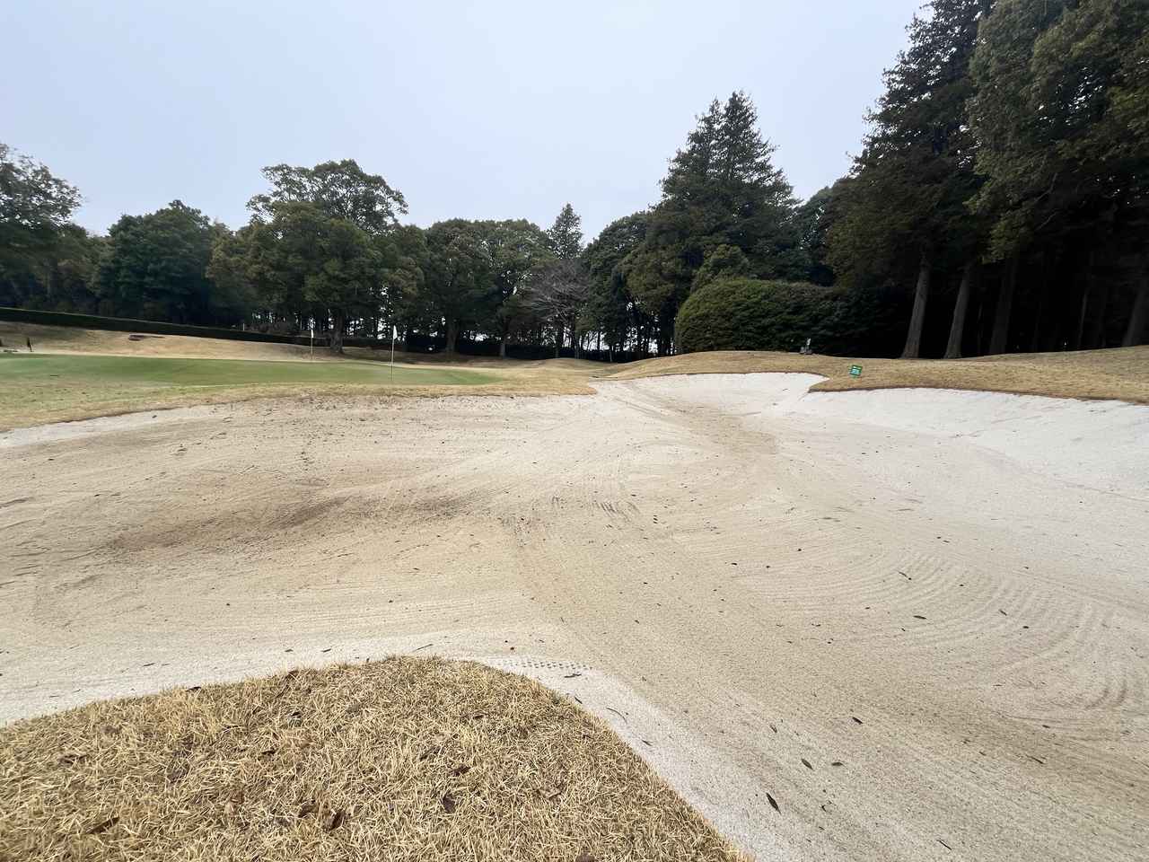 画像 : 2番目の画像 - グレンオークスCCの充実した練習場 - みんなのゴルフダイジェスト