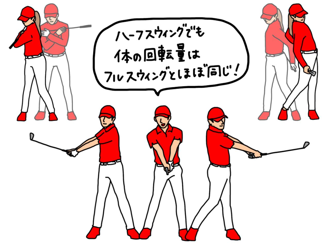 画像: イラストC：ハーフスウィングでも体の回転量はフルスウィングとほぼ同じ