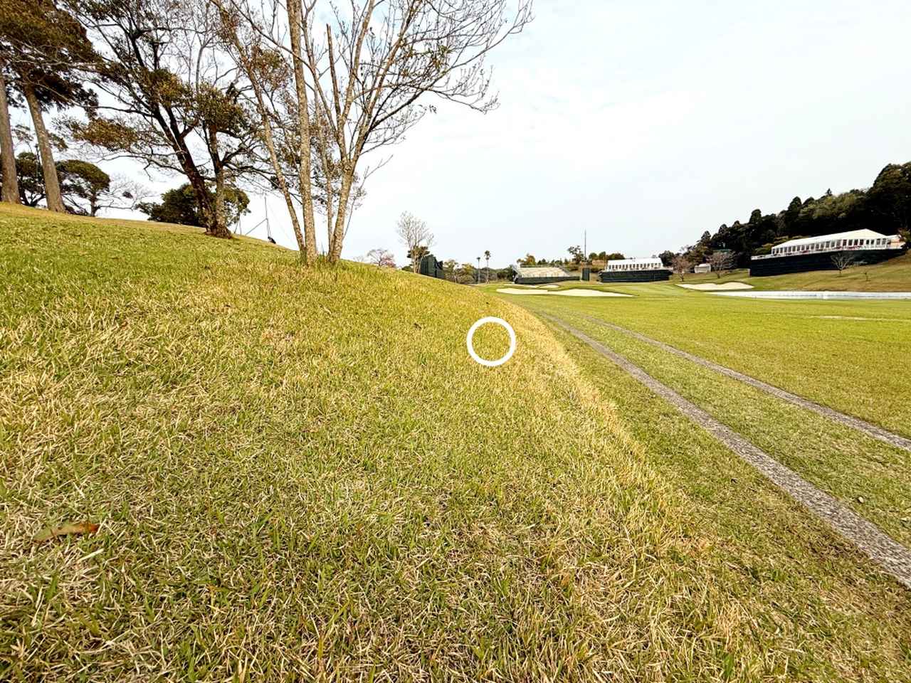 画像: 第2打は〇で示した辺りに止まり、申は右打ちで立てなかったという（撮影/岡沢裕行）