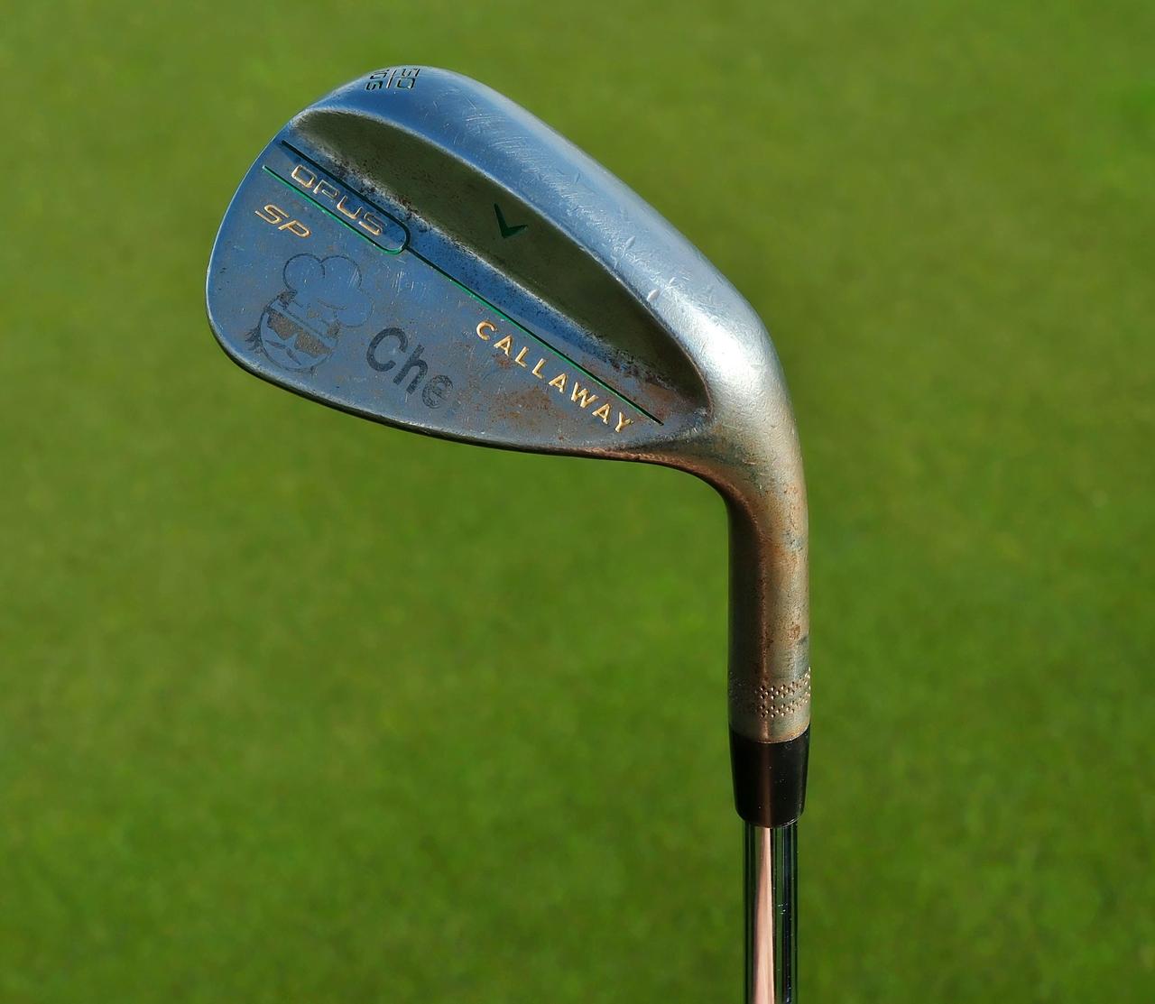 画像 : 14番目の画像 - ミンウー・リーのクラブセッティングを1本1本チェック！ - みんなのゴルフダイジェスト