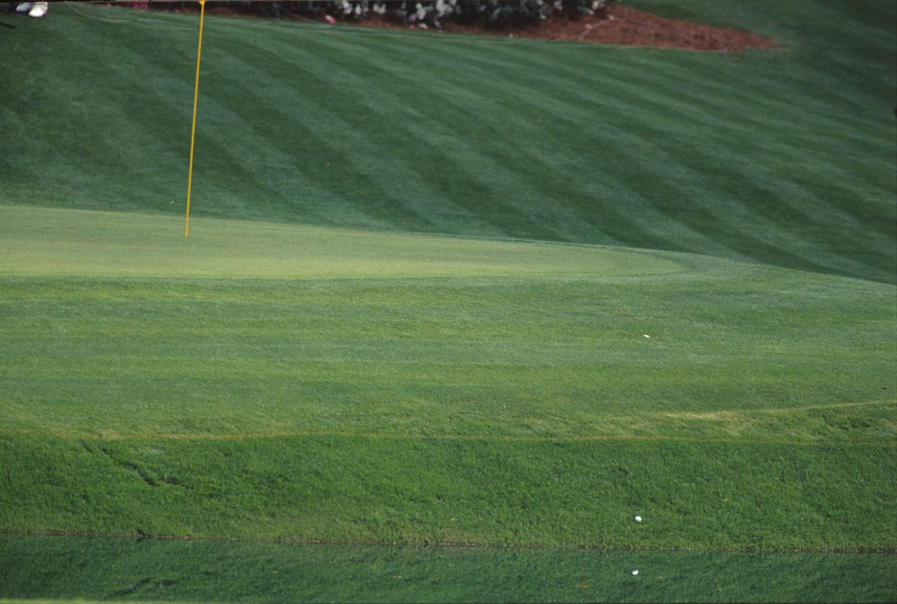 画像: 実際のカプルスのボール。奇跡的に池を逃れた