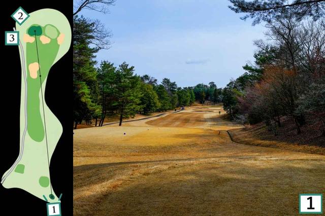 画像1: NO. 15・347Y・PAR4（伊吹コース）