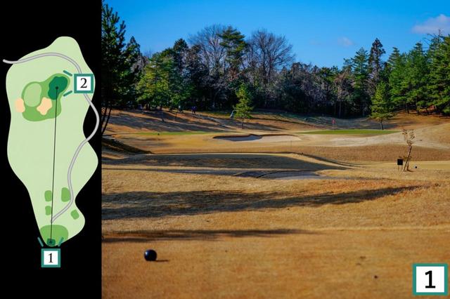 画像1: NO. 3・210Y・PAR3（比良コース）