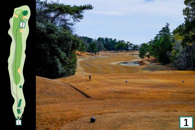 画像1: NO. 18・580Y・PAR5（伊吹コース）