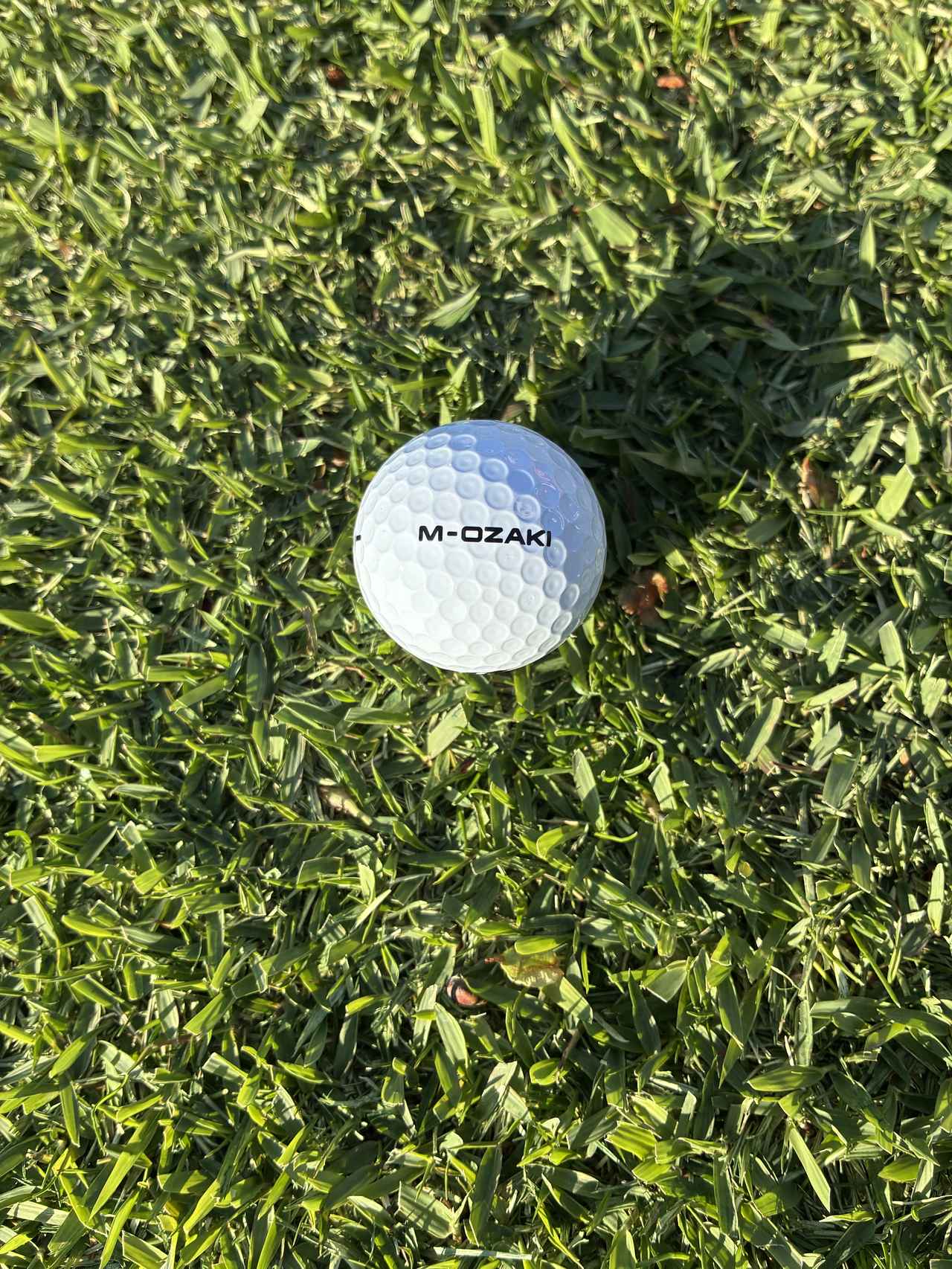 画像1: プロアマで配られた記念ボール