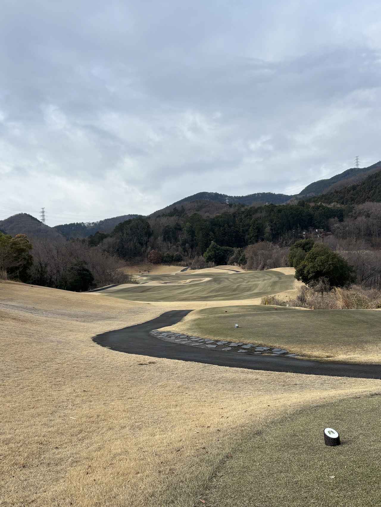 画像 : オリムピックCCレイクつぶらだCの思い出②