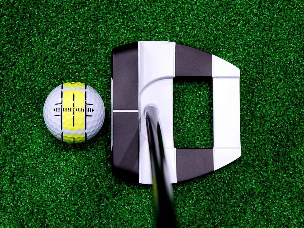 画像1: ジェイルバードタイプは太帯を白黒帯の向きに合わせる