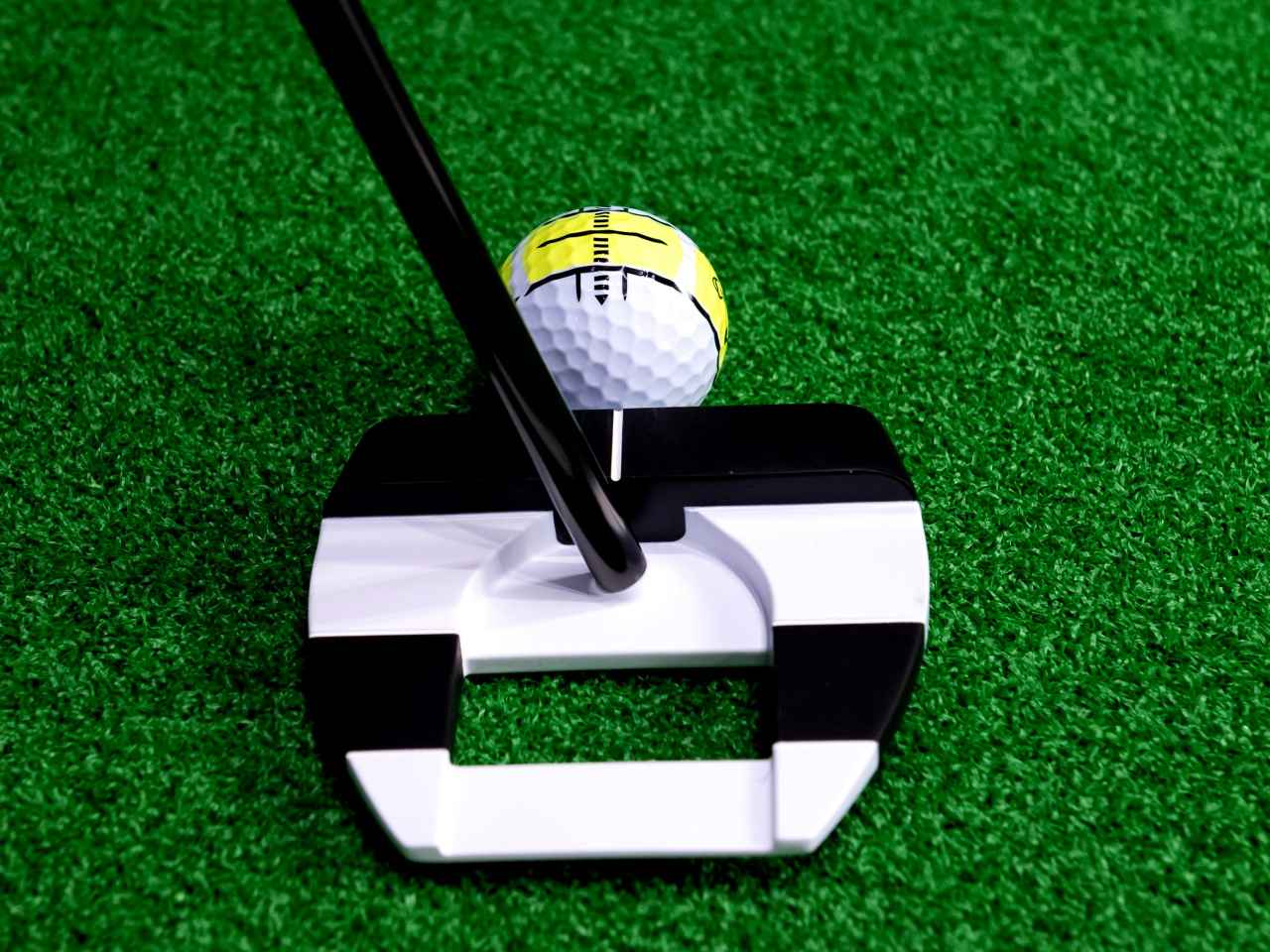 画像2: ジェイルバードタイプは太帯を白黒帯の向きに合わせる