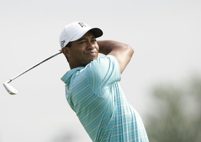 画像: 芯で打つことの大切さを説くタイガー（2007年撮影）