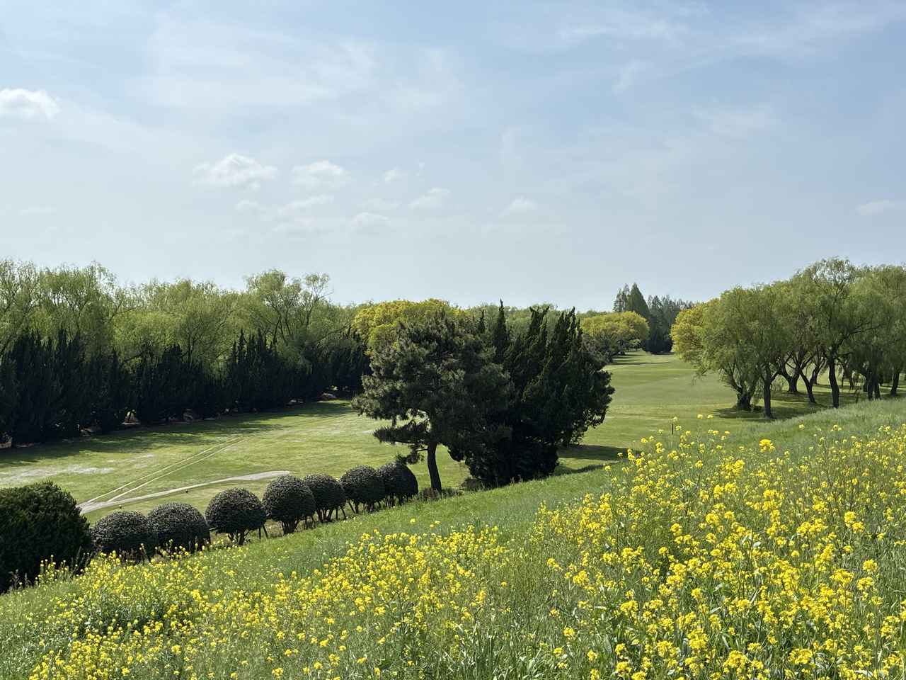 画像: 堤防の上から利根パークゴルフ場を望む