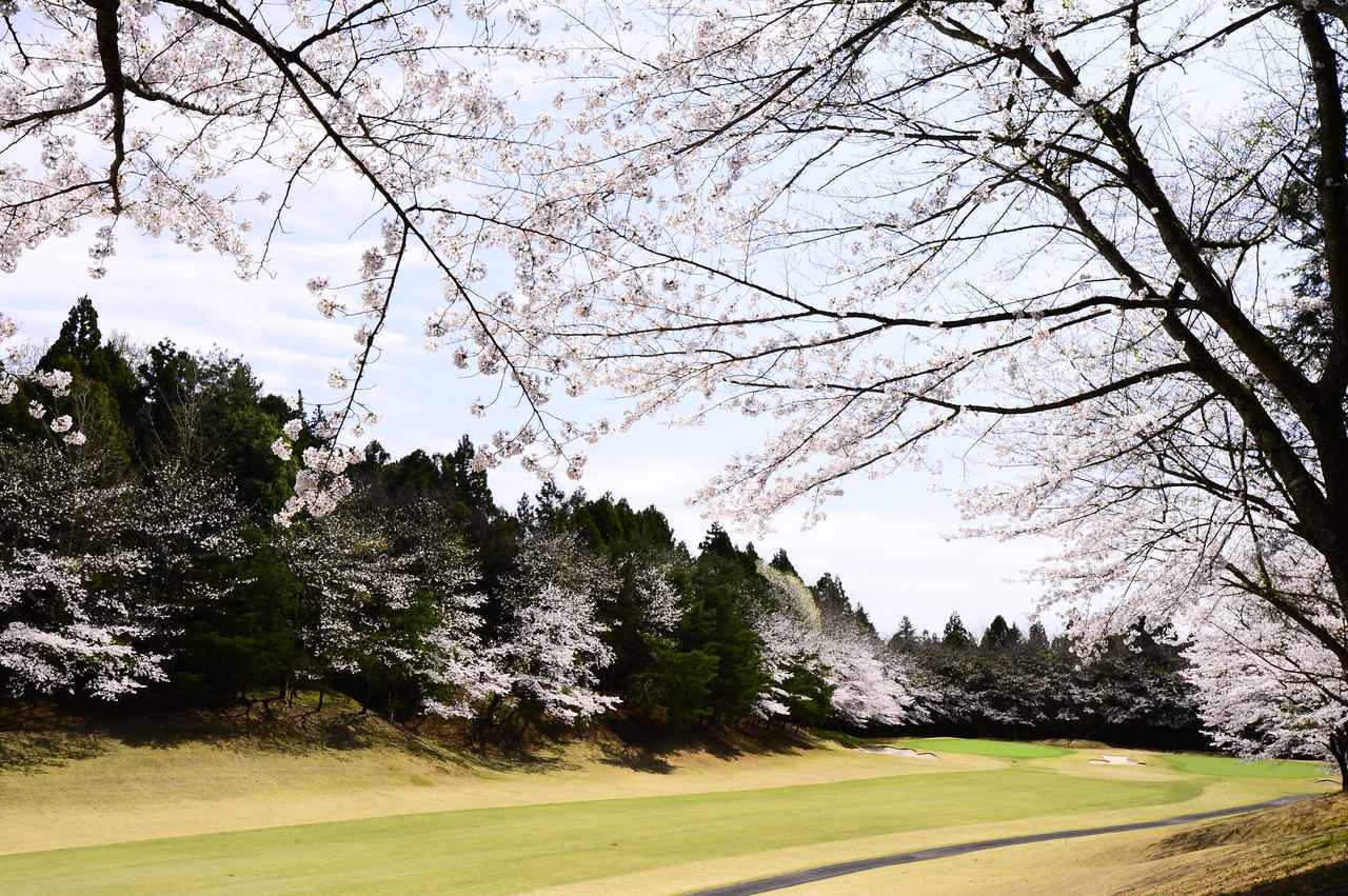 画像: 「良いコースが良いゴルファーを育てる」。フラットな林間コースに慣れた日本人が忘れた“ゴルフの真髄”とは【ラウンド中の小ネタに使えるゴルフ知識 #57】 - みんなのゴルフダイジェスト