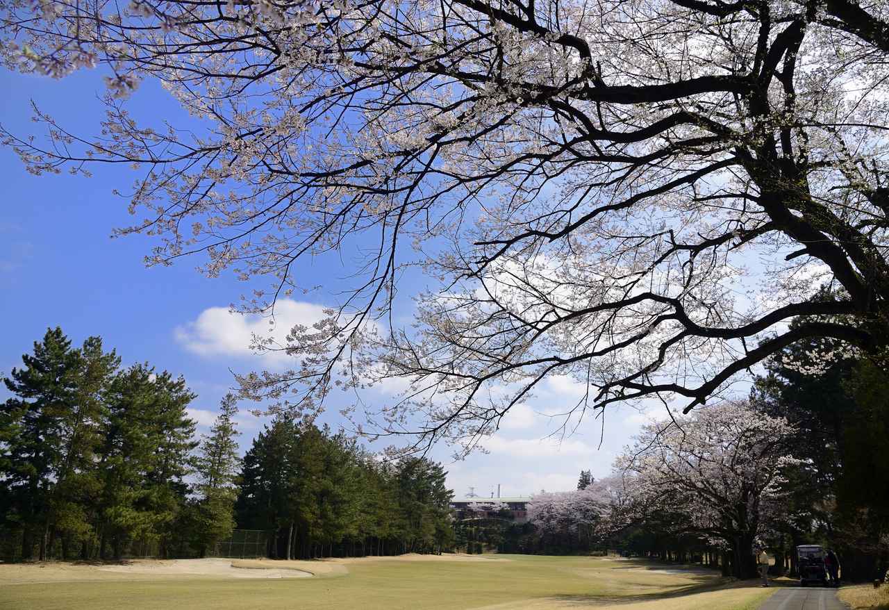 画像: 文化庁公式HPには、主要作品として武蔵野CC、湯河原CC、湯本八幡町GC、戸田CCのクラブハウス設計に携わったことが記されている