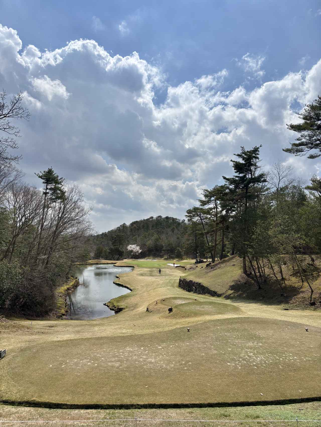 画像 : パインツリーGCの思い出③