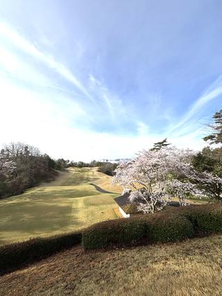 パインツリーGCの思い出①