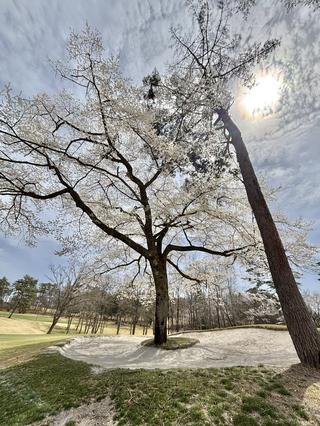 備中高原北房CCの思い出①