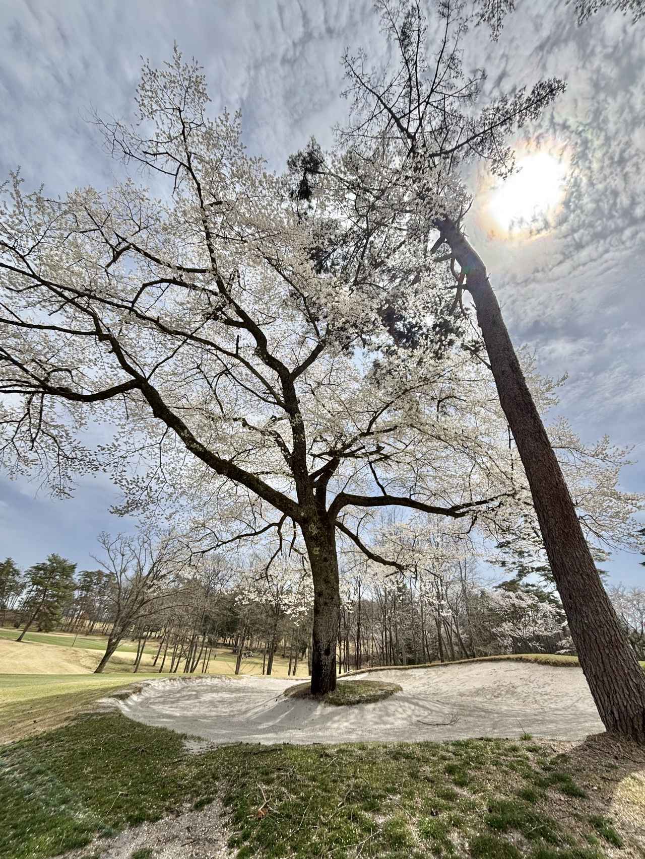 画像 : 備中高原北房CCの思い出①