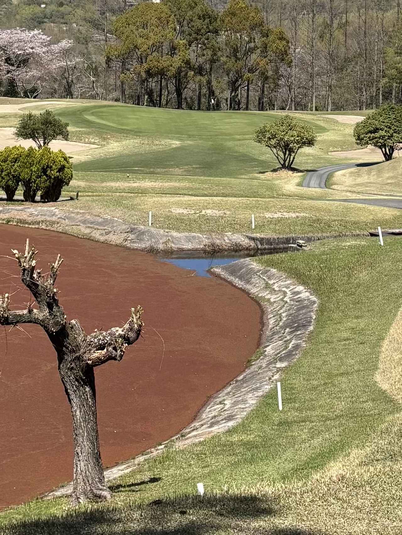 画像 : 尾道うずしおCCの思い出②