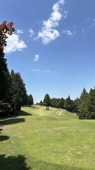 グランドチャンピオンGCの思い出①