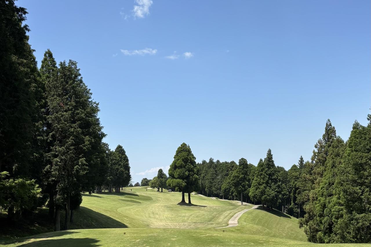 画像: グランドチャンピオンゴルフクラブ No.6（476Y・P5）
