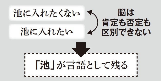 画像: 「脳は肯定も否定も区別できないんです」（大本）