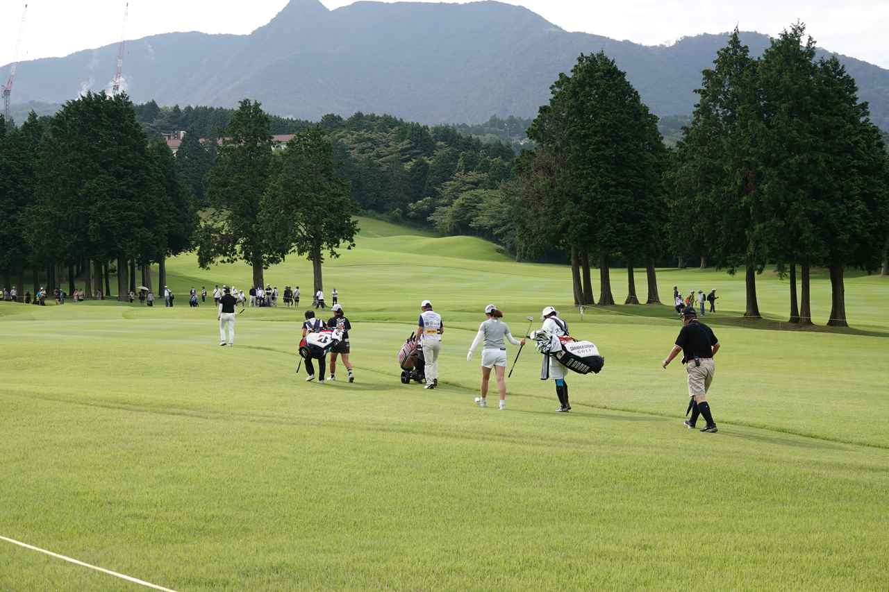 画像: たいてい先頭を歩いていた蛭田