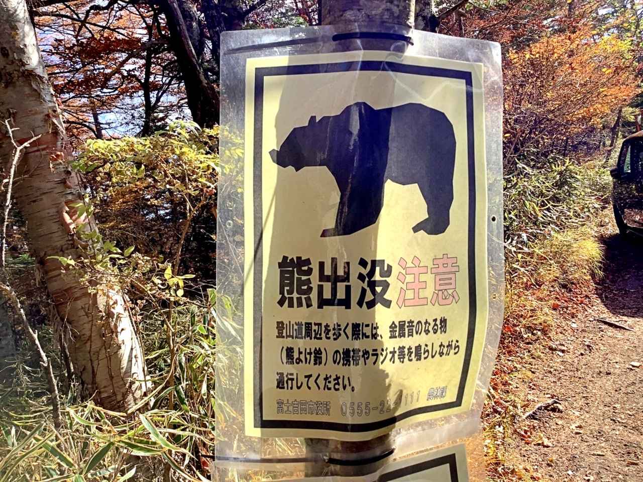 画像: クマ出没の安全対策は?