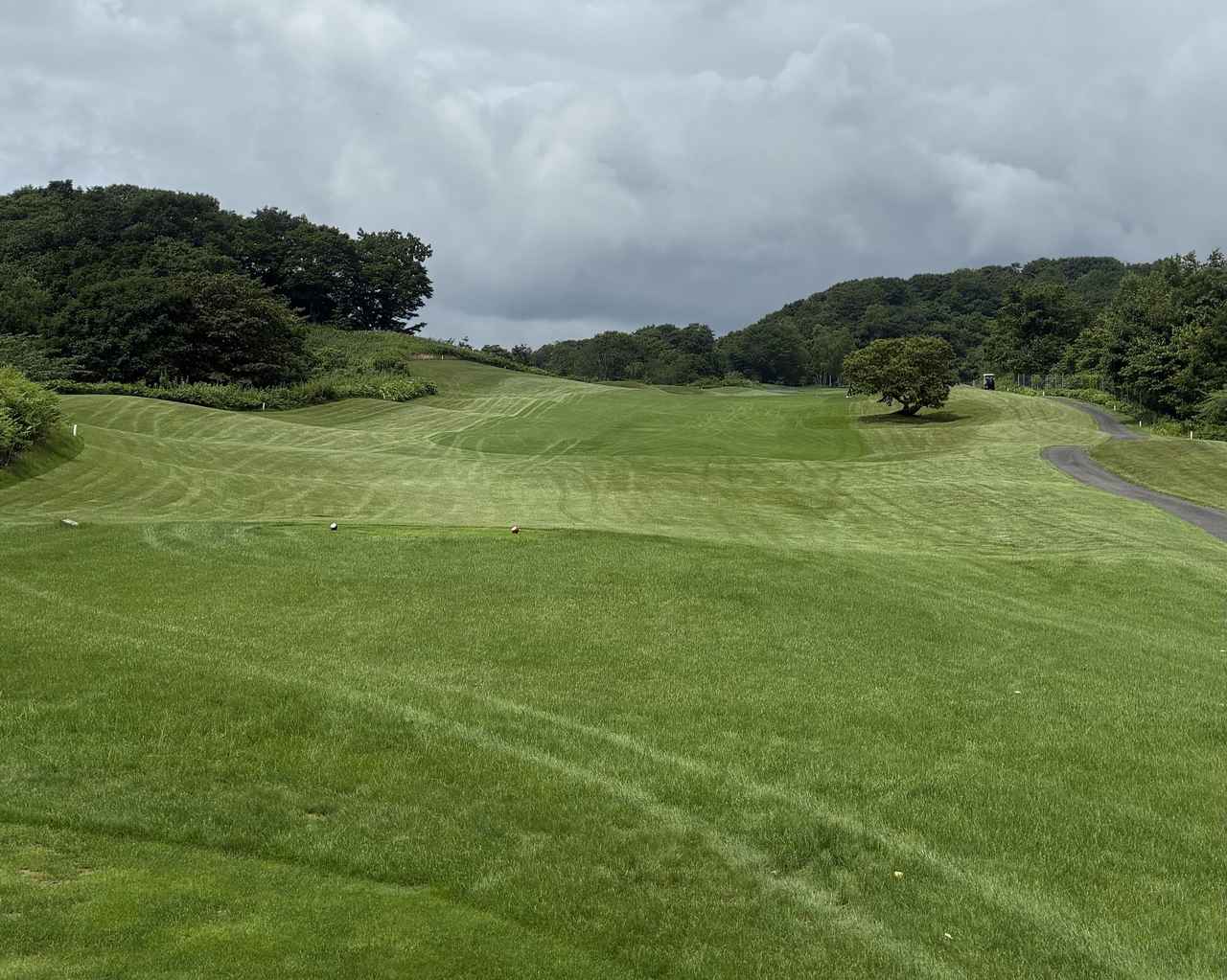 画像: 北海道ドリームカントリークラブ No.1(377Y・P4)