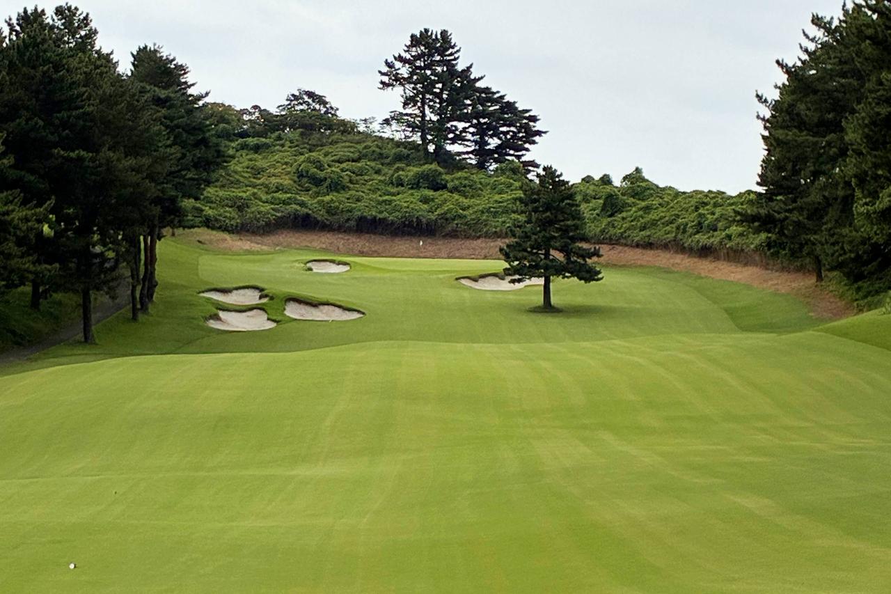 画像: 13番ティーイングエリアからグリーンを望む。240ヤード地点右手にある1本木と左手にある3つのバンカーにプレッシャーを感じた