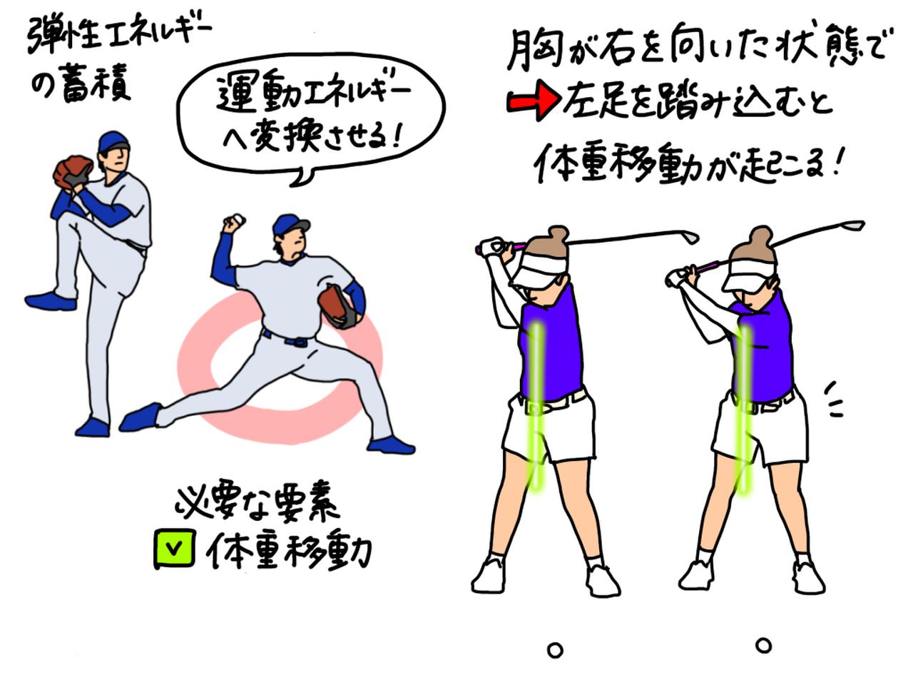 画像: ゴルフスウィングでは、バックスウィングによって胸が右を向いた状態をキープし、左足を踏み込むことで体重移動が起こる。これがクラブへ効率よく力を伝える運動連鎖のきっかけとなる