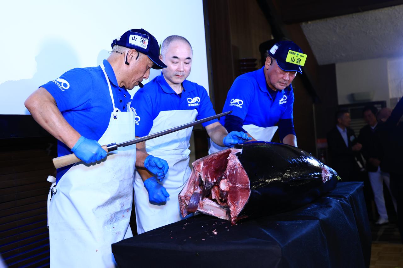 画像: 97㎏のマグロの解体ショーまで行われ、お寿司として振舞われた