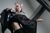 画像3: 世界中からコスプレイヤーがやってくる!