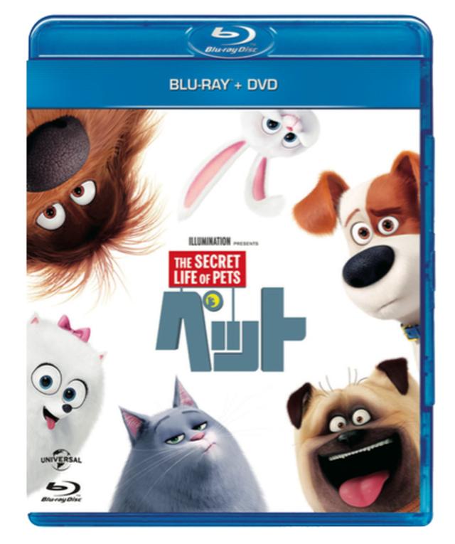 画像: 「ペット」ブルーレイ+DVDセット NBCユニバーサル・エンターテイメント 12月21日発売、3990円+税 特典=「ペット」の生みの親たち、おしゃべりなペットたち 声の出演者、ペットのすべて、飼い犬をおしゃれに、スノーボール名場面集、ミニオンの「ペット」鑑賞