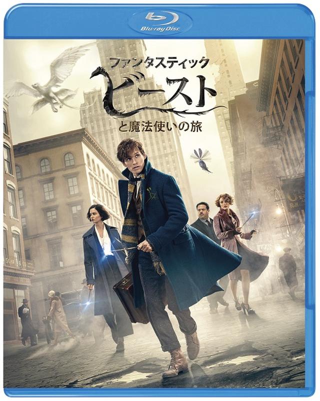 画像: 『ファンタスティック・ビーストと魔法使いの旅』 4月19日(水)Blu-ray&DVD発売・レンタル開始、デジタルレンタル配信開始 ◆【初回仕様】Blu-ray&DVDセット(2枚組/デジタルコピー付) ¥3,990円+税 ◆【初回仕様】3D&2DBlu-rayセット(2枚組/デジタルコピー付)¥6,990円+税 ◆【初回仕様】 <4K ULTRA HD&3D&2D Blu-rayセット>(3枚組/デジタルコピー 付)¥7,990円+税 ◆ DVD \2,990円+税 3月17日(金) デジタルセル 先行配信開始 発売・販売元:ワーナー・ブラザース ホームエンターテイメント ©2016 Warner Bros. Ent. All Rights Reserved. Harry Potter and Fantastic Beasts Publishing Rights ©JKR.