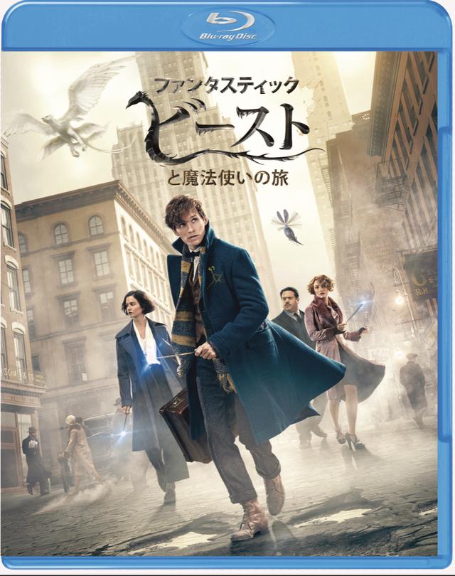 画像: 「ファンタスティック・ビーストと魔法使いの旅」 Blu-ray&DVDセット WBHE/2017年4月19日発売、3990円+税(2枚組)、4K UHD&3D&2D BDセットは7990円+税(3枚組)、3D&2D BDセットは6990円+税(2枚組)、DVDは2990円+税で同時発 特典=魔法動物カード封入、新たな魔法時代の幕開け、新たなキャラクターたち、魔法動物たち、デザイン、未公開シーン集 ©2016 Warner Bros. Entertainment Inc. All Rights Reserved. wwws.warnerbros.co.jp