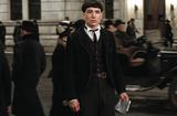 画像: ︎次作にはエズラ・ミラー演じるクリーデンスが再登場する