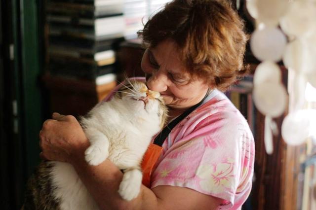 画像: 世界中で異例の大ヒット!映画『猫が教えてくれたこと』本ビジュアル解禁