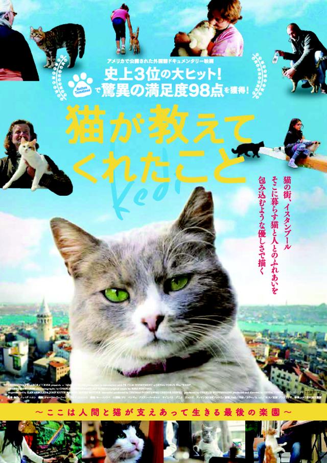 画像: 猫と人間の幸せな関係を猫目線で描く“猫たちへのラブレター”