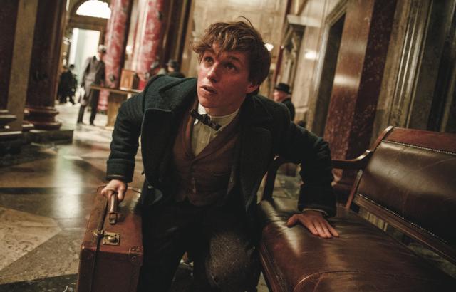 画像: © 2017 Warner Bros. Entertainment Inc. Harry Potter and Fantastic Beasts Publishing Rights © JKR
