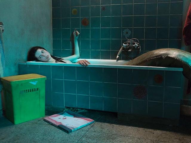画像1: © 2015WFDIF, TELEWIZJA POLSKA S.A, PLATIGE IMAGE