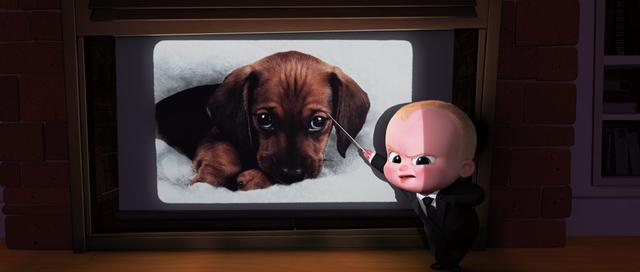 画像: ライバルはかわいい子犬