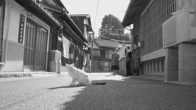 画像4: ©️Laboratory X, Inc.