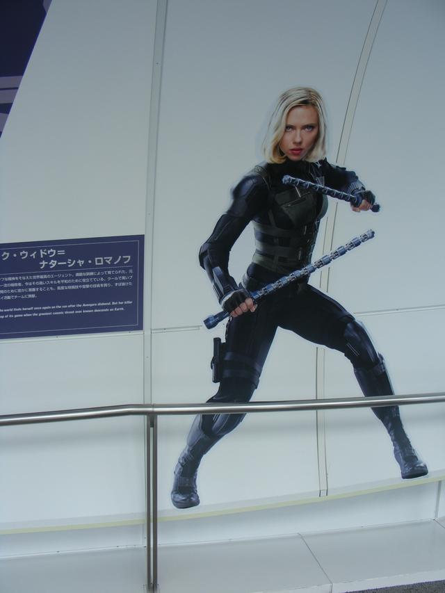 画像: ブラック・ウィドウです。実はこれらの絵、等身大だそうです。並んでみよう