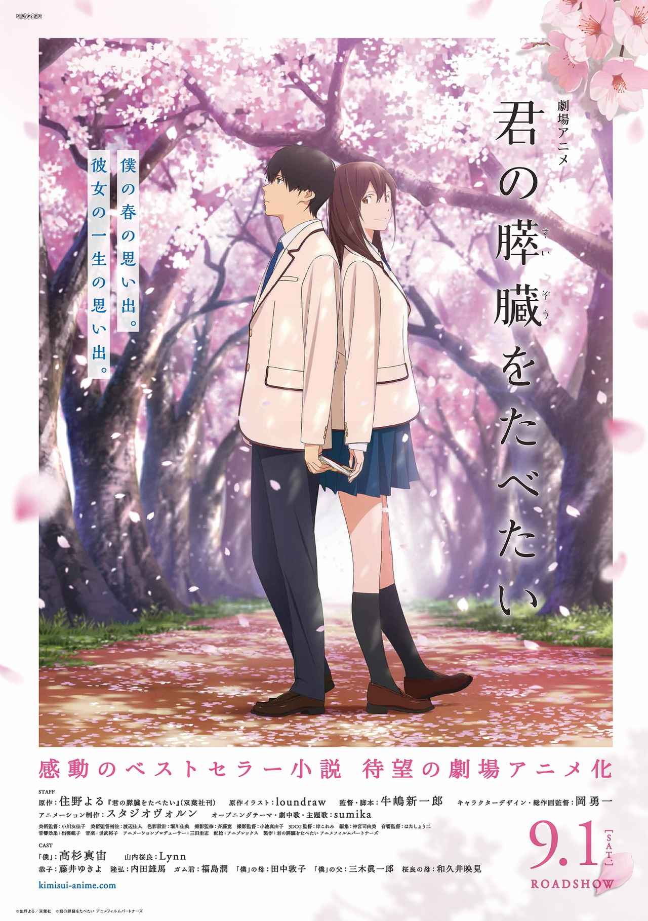 3854 劇場アニメ 君の膵臓をたべたい 　Ａ−４クリアファイル キミスイ 3854 劇場アニメ 君の膵臓をたべたい A−4クリアファイル