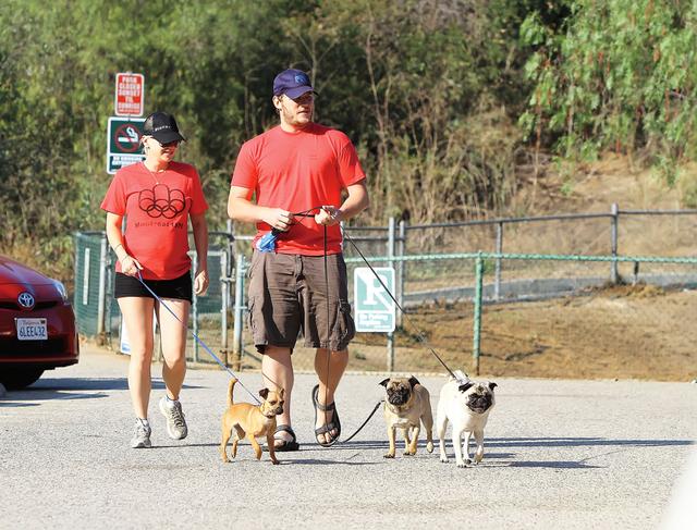 画像: アナと暮らしていた頃、愛犬と散歩